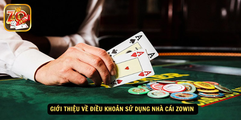 Thông tin về điều khoản điều kiện