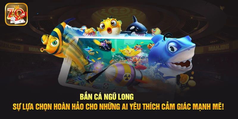 Tham khảo các phòng chơi cơ bản